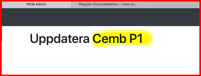 wappler-screendump2