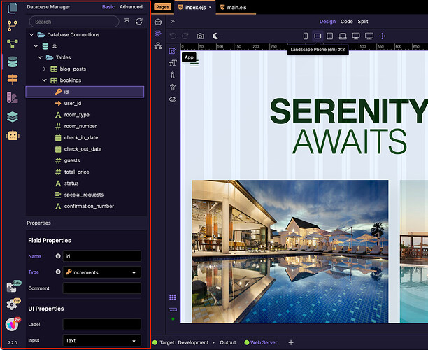 The Database Manager showing database tables and database field properties