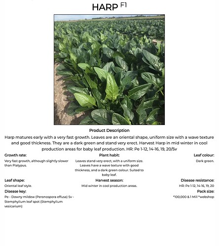 Screenshot 2025-12-13 at 10.01.24 pm