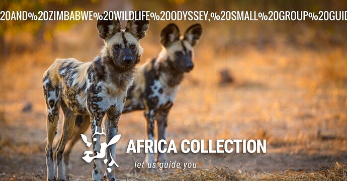 botswana-and-zimbabwe-wildlife-odyssey-small-group-guided-tour-1200x628