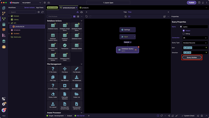 Query builder options