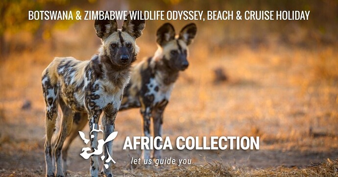 botswana-and-zimbabwe-wildlife-odyssey-beach-and-cruise-holiday-1200x628