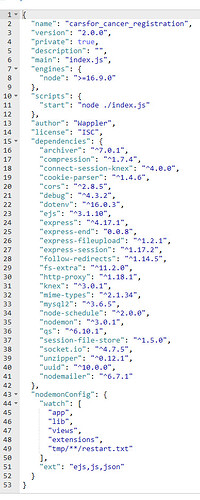 PackageJson