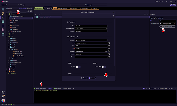 cstmQueryWrking
