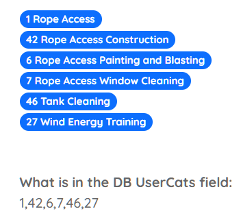 Screenshot 2023-02-17 102536