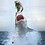 barronshark