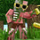 SENPAI_MINECRAFT